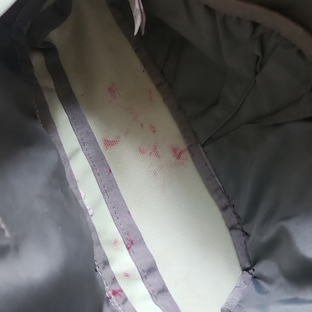 The Noeth Face Mint Green Women's Belt Bag/crossbody - Picture 2 of 12